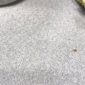 Meet your Posher, Jannet